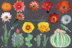 Watercolor cactus flowers printable clipart. Botanical cacti Product Image 2