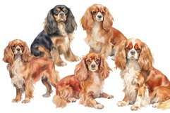 Cavalier Dogs Product Image 3