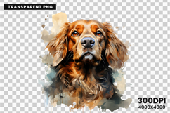 watercolor cavalier king charles spaniel clipart, spaniel dog png, cavalier sublimation design, dog clipart watercolor, cute spaniel art png, cavalier printable download, pet lover sublimation, king charles spaniel clipart, spaniel digital illustration, c