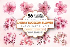 Watercolor Cherry Blossom Flower Clipart Bundle Product Image 1