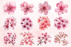 Watercolor Cherry Blossom Flower Clipart Bundle Product Image 2