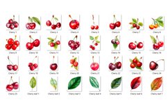 Watercolor Cherry Clipart Bundle