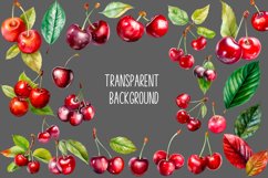 Watercolor Cherry Clipart Bundle