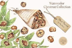 Watercolor Chestnut Set Product Image 1