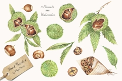 Watercolor Chestnut Set Product Image 2