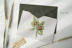 Watercolor Chestnut Set Product Image 6