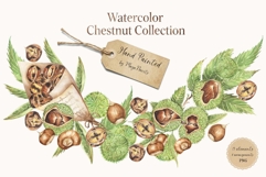 Watercolor Chestnut Set Product Image 7