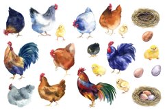 Watercolor farm family chickens, Easter clipart Scrapbooking Product Image 2