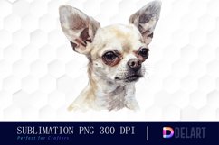 Chihuahua Illustration Clipart Product Image 1
