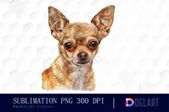 Chihuahua Sublimation PNG Clipart Product Image 1