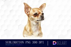 Chihuahua Sublimation PNG Clipart Product Image 1