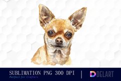 Chihuahua Illustration Clipart Product Image 1