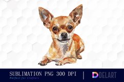 Chihuahua Illustration Clipart Product Image 1