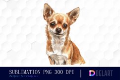 Chihuahua Watercolor Clipart Product Image 1