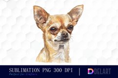 Chihuahua Sublimation PNG Clipart Product Image 1