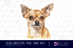 Chihuahua Watercolor Clipart Product Image 1