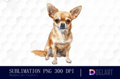Chihuahua Sublimation PNG Clipart Product Image 1