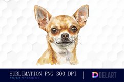 Chihuahua Sublimation PNG Clipart Product Image 1