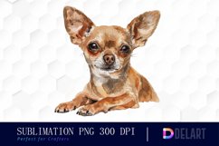Chihuahua Watercolor Clipart Product Image 1