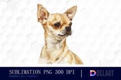 Chihuahua Illustration Clipart Product Image 1