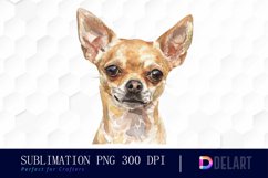 Chihuahua Illustration Clipart Product Image 1