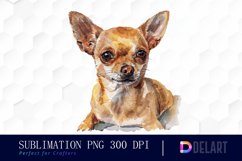 Chihuahua Illustration Clipart Product Image 1