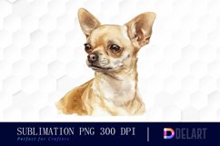 Chihuahua Illustration Clipart Product Image 1