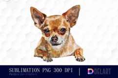 Chihuahua Watercolor Clipart Product Image 1