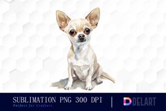 Chihuahua Illustration Clipart Product Image 1