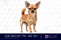 Chihuahua Illustration Clipart Product Image 1