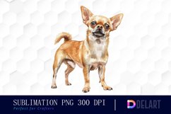 Chihuahua Illustration Clipart Product Image 1