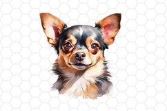Watercolor Chihuahua Clipart 
