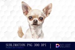 Chihuahua Sublimation PNG Clipart Product Image 1