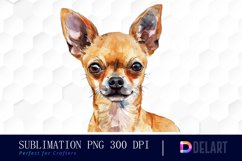Chihuahua Sublimation PNG Clipart Product Image 1