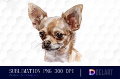 Chihuahua Illustration Clipart Product Image 1