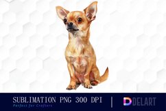 Chihuahua Illustration Clipart Product Image 1
