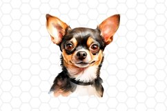 Watercolor Chihuahua Clipart 