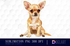 Chihuahua Illustration Clipart Product Image 1