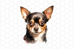 Watercolor Chihuahua Clipart 