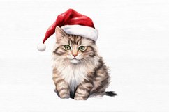 Christmas Cat Watercolor Sublimation Clipart Product Image 7