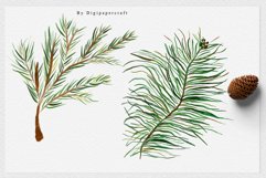 Christmas Foliage Clipart, Winter clipart, Christmas Card Product Image 4