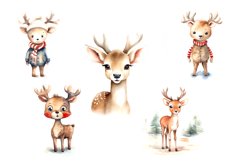 Watercolor Christmas Deer. Clipart Bundle. Product Image 4