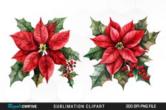 Watercolor Christmas Flower Set Clipart Product Image 1