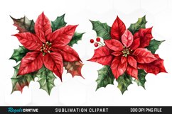 Watercolor Christmas Flower Image Clipart Product Image 1