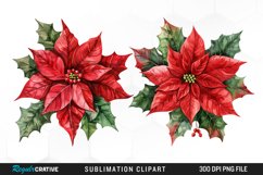 Watercolor Christmas Flower Image Clipart Product Image 1