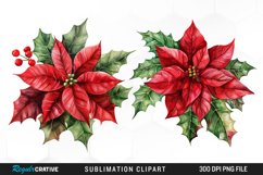 Watercolor Christmas Flower Image Clipart Product Image 1