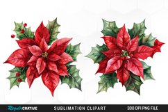 Watercolor Christmas Flower Set Clipart Product Image 1