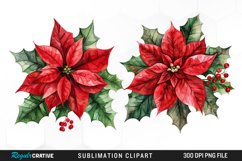 Watercolor Christmas Flower Set Clipart Product Image 1