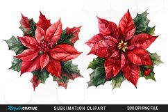 Watercolor Christmas Flower Set Clipart Product Image 1
