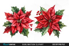 Watercolor Christmas Flower Image Clipart Product Image 1